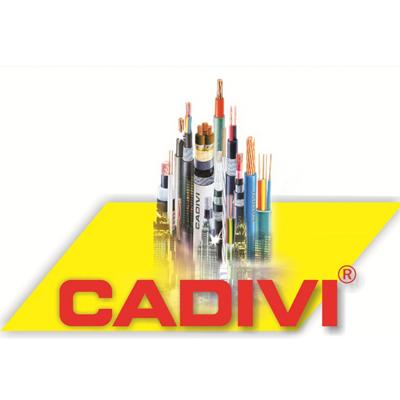 Catalogue Dây cáp điện CADIVI - Hạ Thế